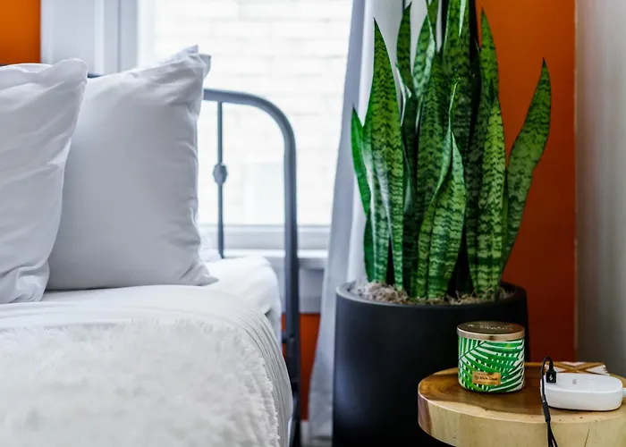 Jungle House Luxury - Downtown Short North * Columbus